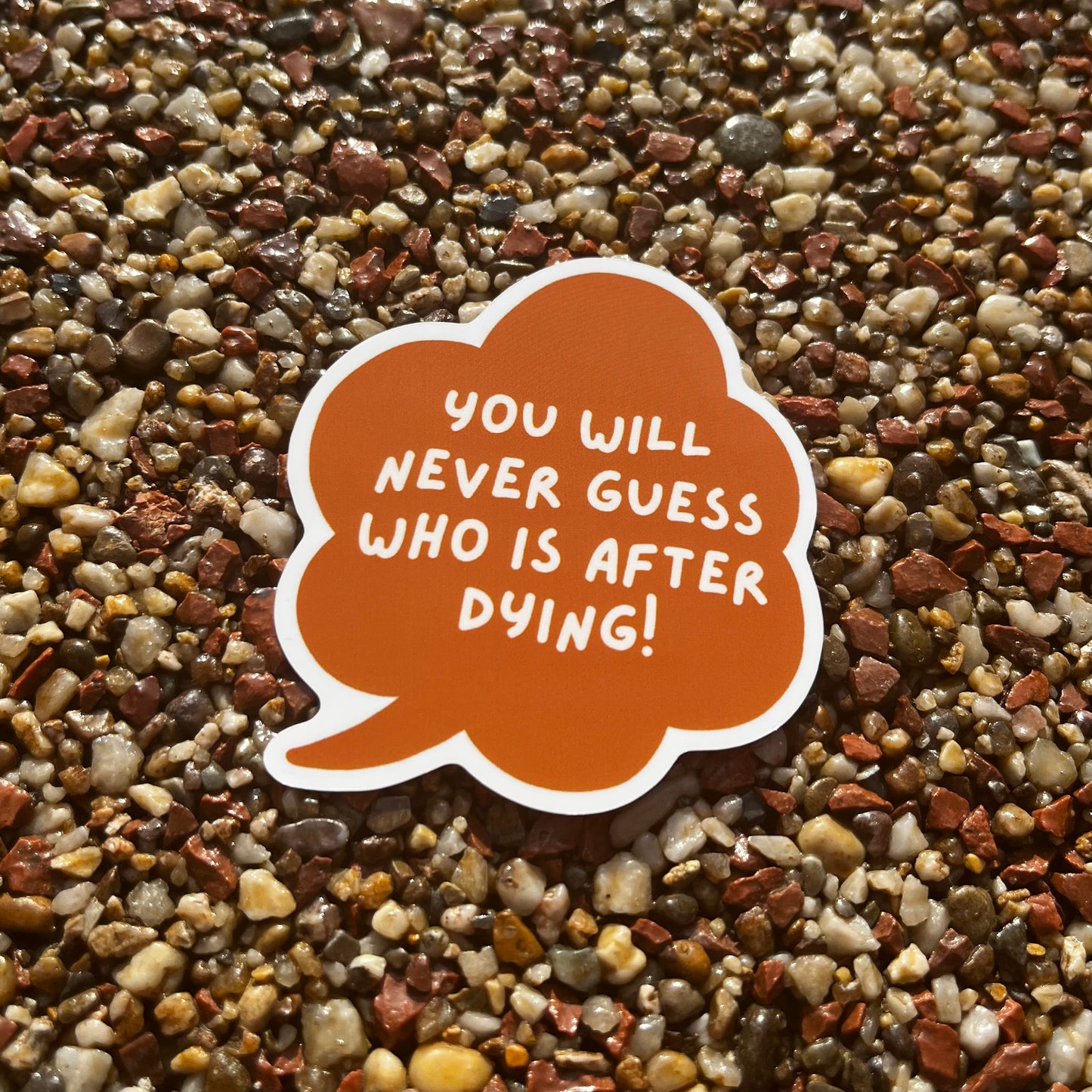 You Will Never Guess Sticker