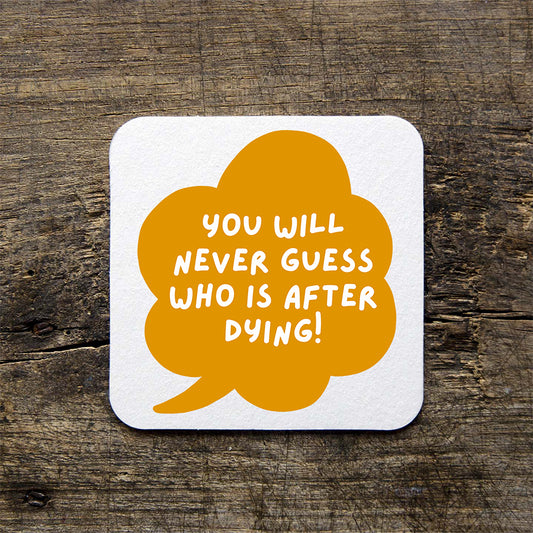 You Will Never Guess Coaster